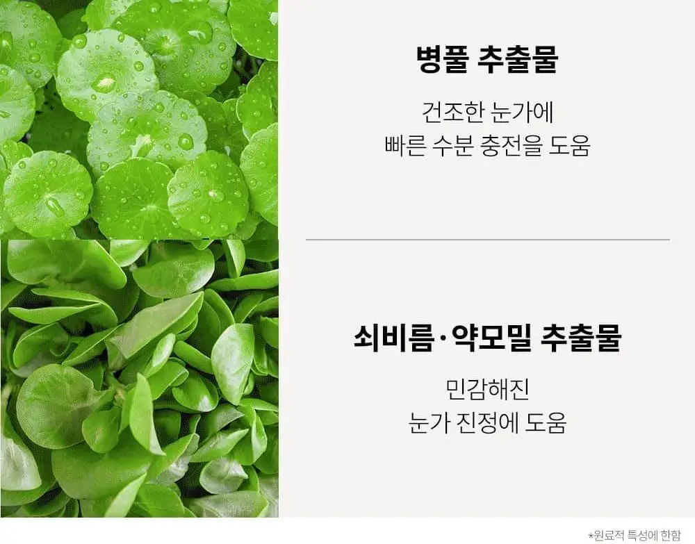 [디렉터파이공동개발] 마르시끄 컬러 속눈썹 영양제 인텐스 3종 (블랙/브라운/애쉬) 상세페이지 18